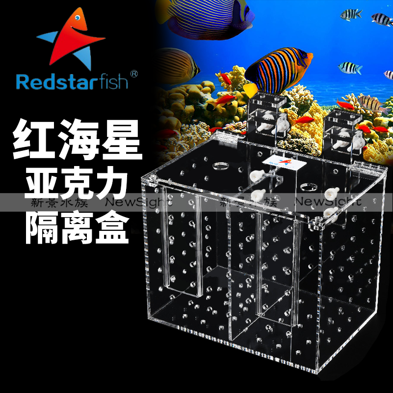 红海星多功能隔离盒病鱼检疫治疗亚克力壁挂两格三格有门带喂食孔