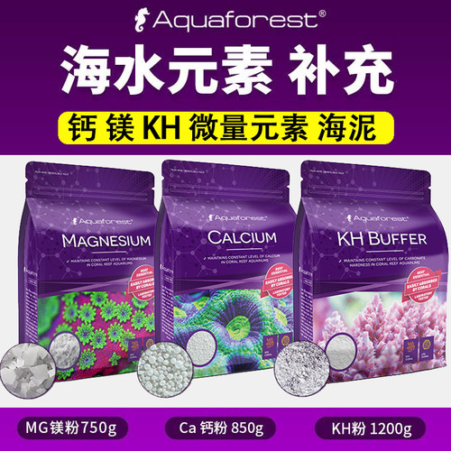 紫色森林元素补充海缸珊瑚水质