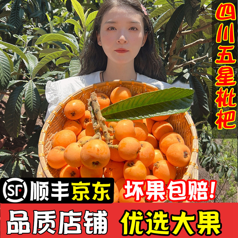 顺丰四川攀枝花米易早钟大五星枇杷5斤大果新鲜水果现摘枇杷琵琶