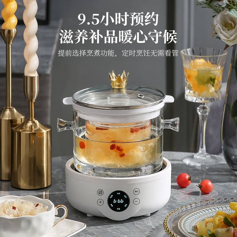 多功能养生壶泡茶壶玻璃壶家用燕窝机花茶壶迷你全自动110V美规