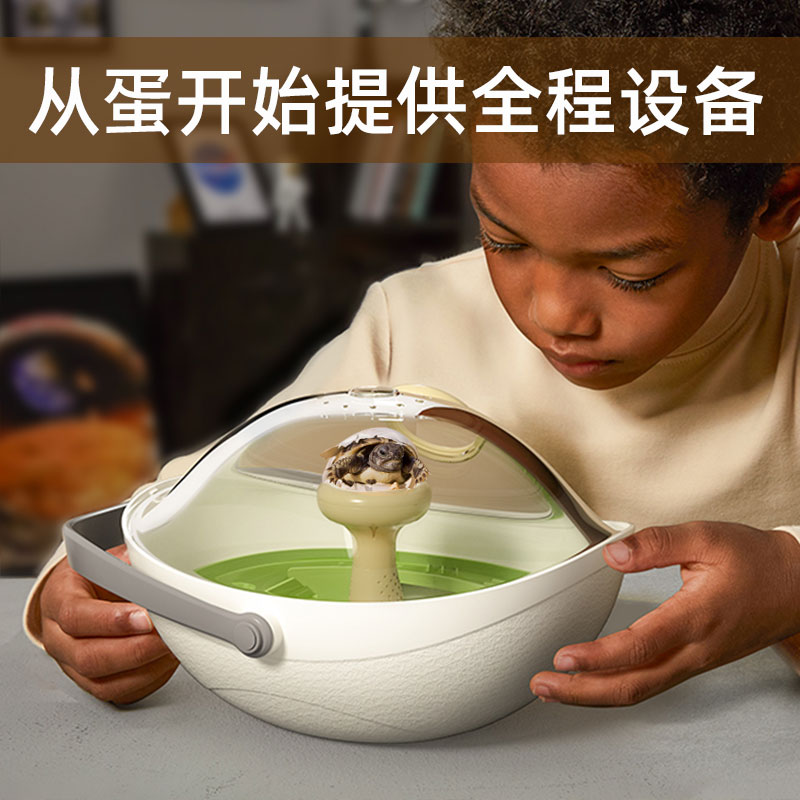 乌龟养殖孵化舱送儿童生日礼物