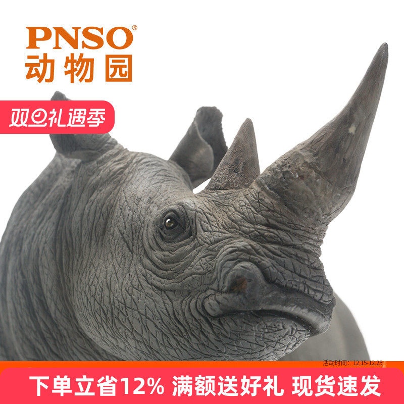 白犀牛尼卡动物园成长陪伴PNSO