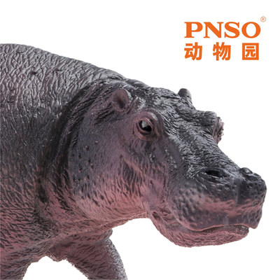 pnso河马墩奇动物园09模型成长