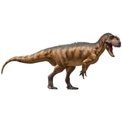 PNSO恐龙模型PVC科学复原