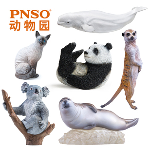 PNSO海豹暹罗猫猫鼬熊猫考拉白鲸动物园成长陪伴模型