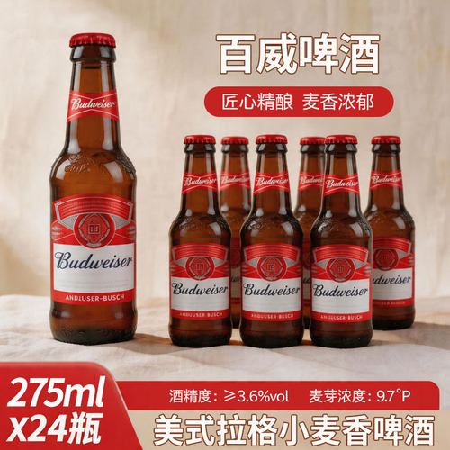 百威啤酒小瓶装醇正黄啤275ml*24瓶330ml*24瓶整箱包邮