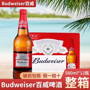 Budweiser/百威啤酒瓶装580ML*12瓶+百威铝瓶355ml*24瓶整箱正品