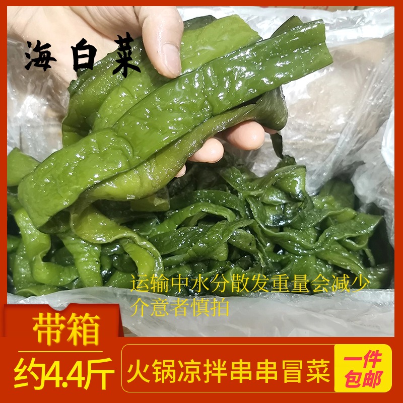 大连海白菜裙带菜梗包邮