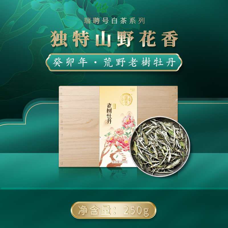 瑞聘号白牡丹买5送1太姥山荒野