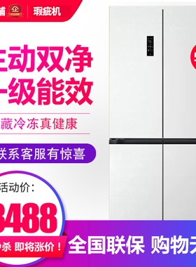 容声BCD-505P60CZMAD方糖双系统十字对开门家用嵌入冰箱等级机
