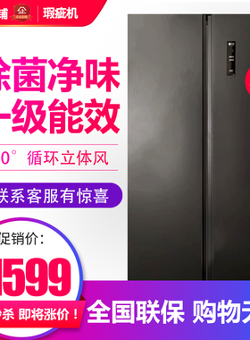 容声BCD-539WRS1HP家用对开门冰箱一级节能风冷无霜大冷冻等级机