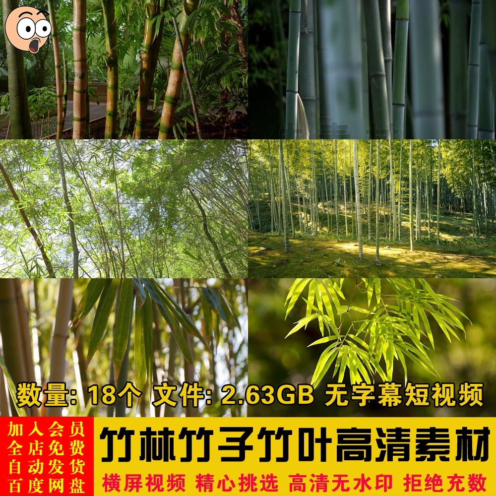 竹林竹子竹叶竹枝绿色风景清新竹光自然阳光照射短视频剪辑素材
