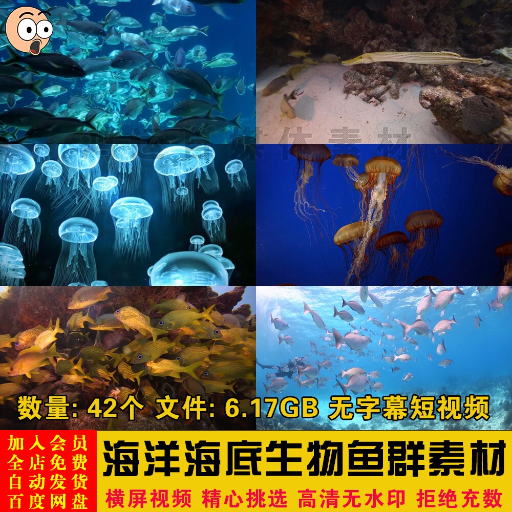 海洋海底世界生物珊瑚鱼水母鱼群高清无字幕短视频剪辑背景素材