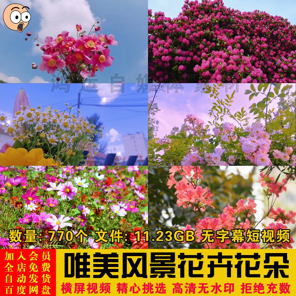 唯美自然风景花卉花朵树叶草丛无字幕高清短视频自媒体剪辑素材