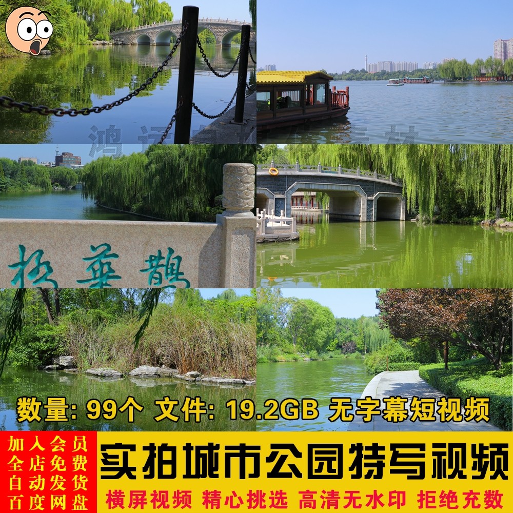 实拍高清夏季城市公园湖边湖水河边绿树荷花自媒体剪辑制作短视频