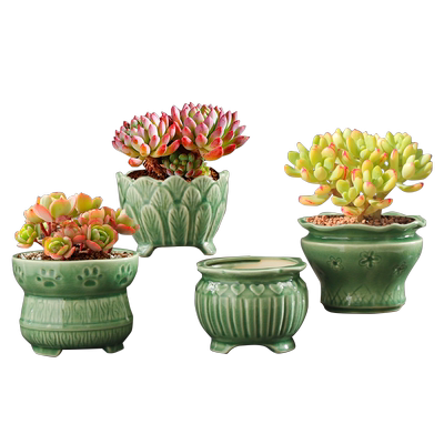 特价清仓简约风肉肉透气多肉花盆