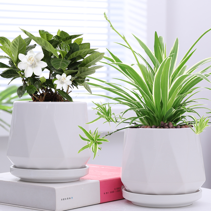 花盆陶瓷托盘简约北欧风格白色大号绿植特价清仓家用桌面多肉花盆