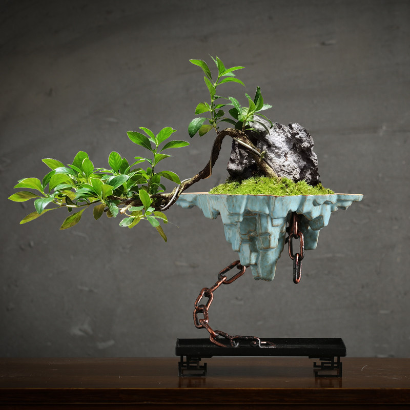 创意盆景盆栽大号绿植悬挂式铁链悬浮文竹悬崖桩多肉造景组合花盆