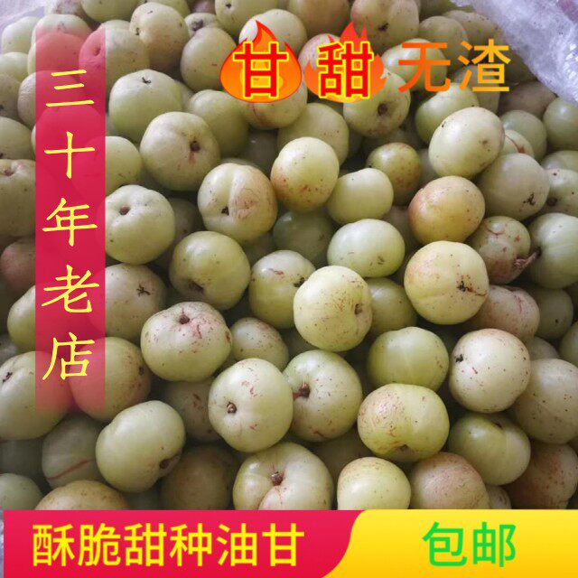新鲜采摘油甘果饼甜先酸后甘