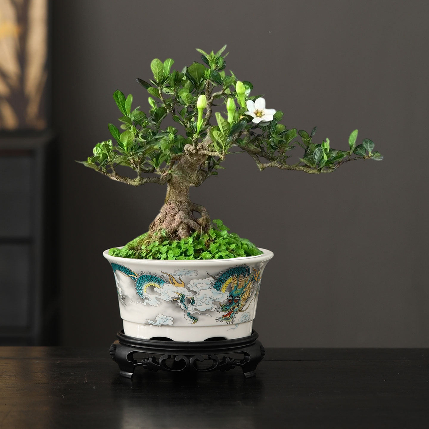 中式陶瓷花盆龙纹青花瓷圆形盆景兰花盆栽装饰摆件带托盘桌面花盆