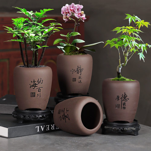 紫砂兰花蝴蝶兰花盆透气古典陶瓷