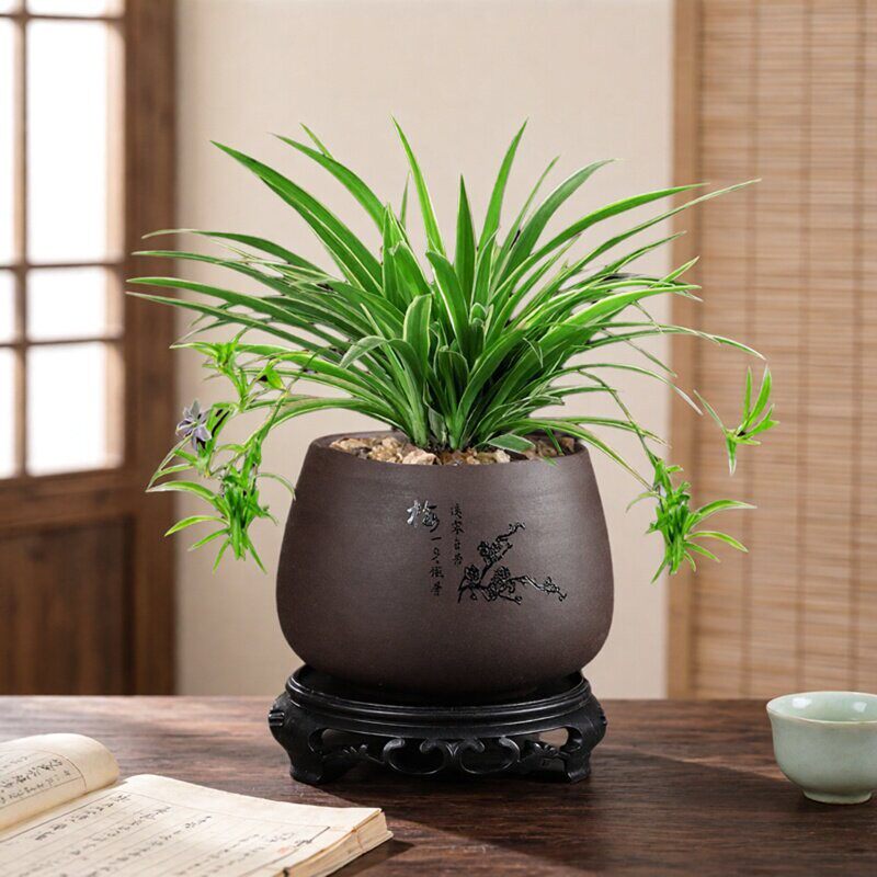 紫砂花盆盆景盆栽蝴蝶兰兰花文竹绿植多肉植物创意粗陶陶瓷盆带托