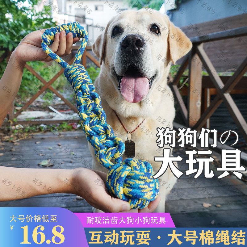 宠物狗绳结玩具金毛棉绳互动大狗磨牙耐咬拉布拉多边牧大型犬解闷
