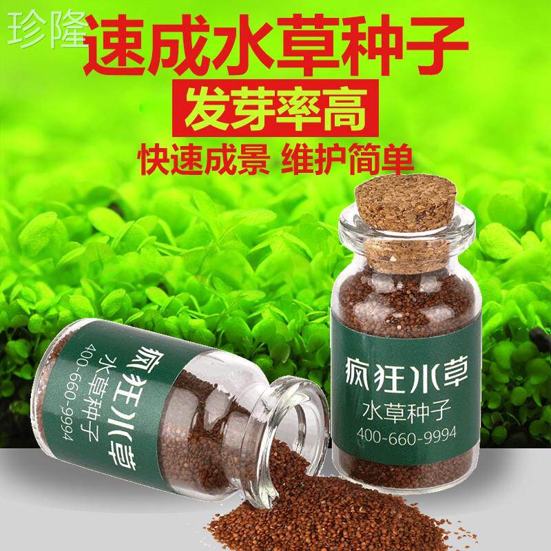 疯狂水草水草籽种子鱼缸植物活净水造景真草缸淡水牛毛草种子套餐怎么样,好用不?