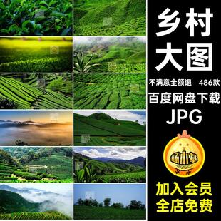 486款茶园茶叶乡村田园风光JPG美丽设计图片茶山风景大图素材绿茶