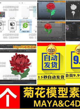 菊花模型素材MayamaxfbxMAYA&C4D1个花卉blener鲜花cobjblener