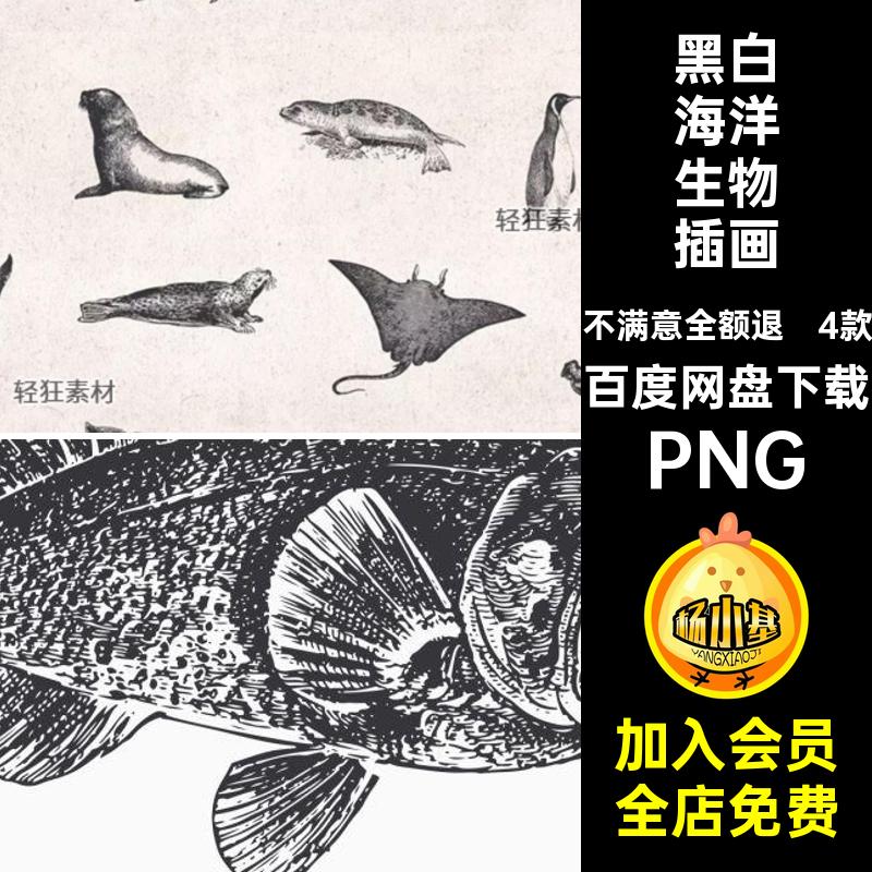 贝壳海洋生物插画海豹动物复古4款黑白手绘PNG鱼类章鱼矢量图PNG
