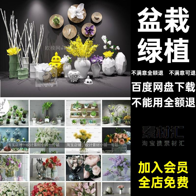 玫瑰梅花牡丹室内兰花花卉绣球花花瓶模型绿植单体3d盆栽max素材