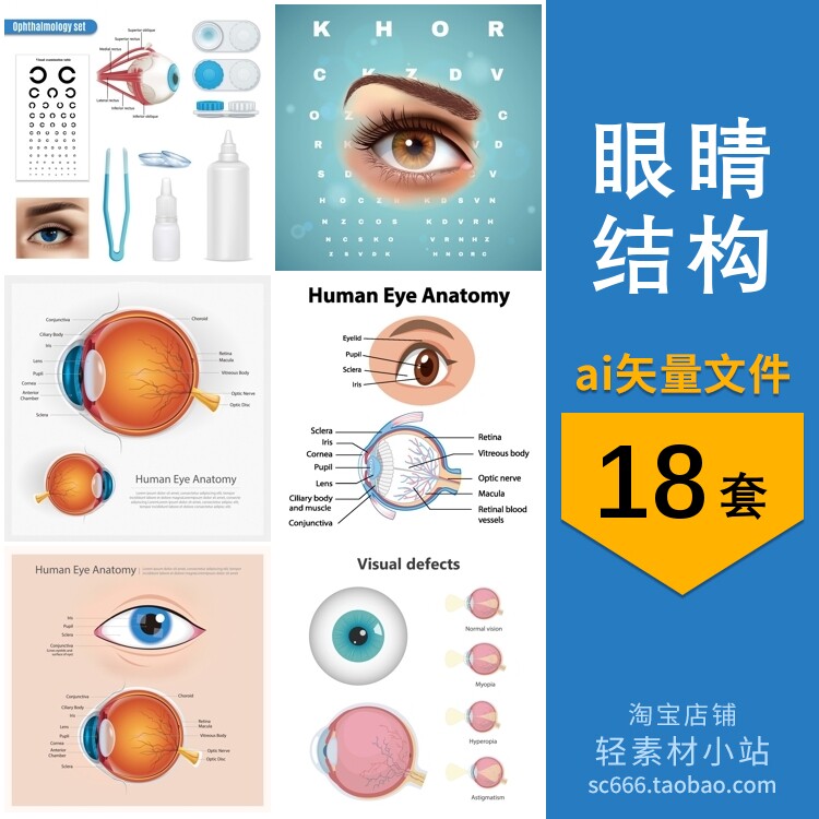 眼睛结构说明示意图卡通插画图案图形元素场景图片ai矢量设计素材