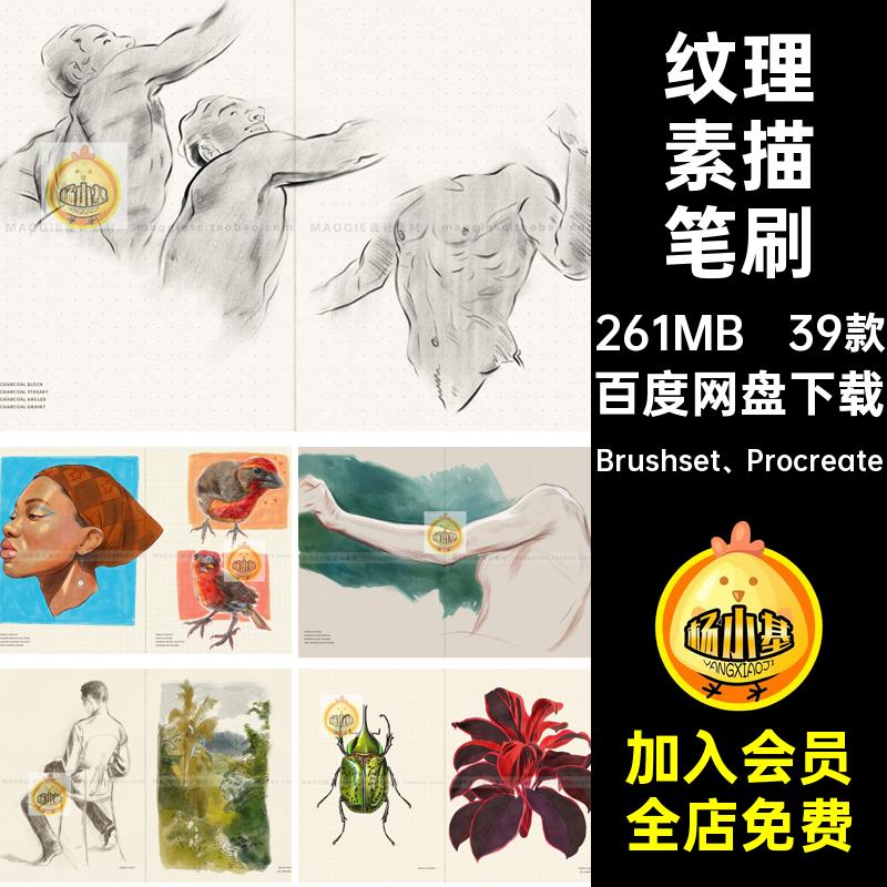 Daily Sketch日常素描Procreate笔刷木炭铅笔纹理水彩钢笔插画笔