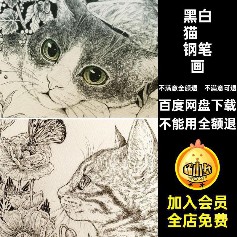 线条画线插画星描人喵笔黑白电子钢笔画图片素材猫咪速写素描针管