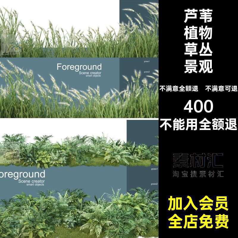 芦苇蕨类草丛小麦ps背景绿色植物麦穗景观芦苇植物草丛景观海报