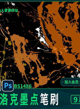 9款波洛克墨点笔刷procreateiPadps素材广告商品标签笔刷9款9款