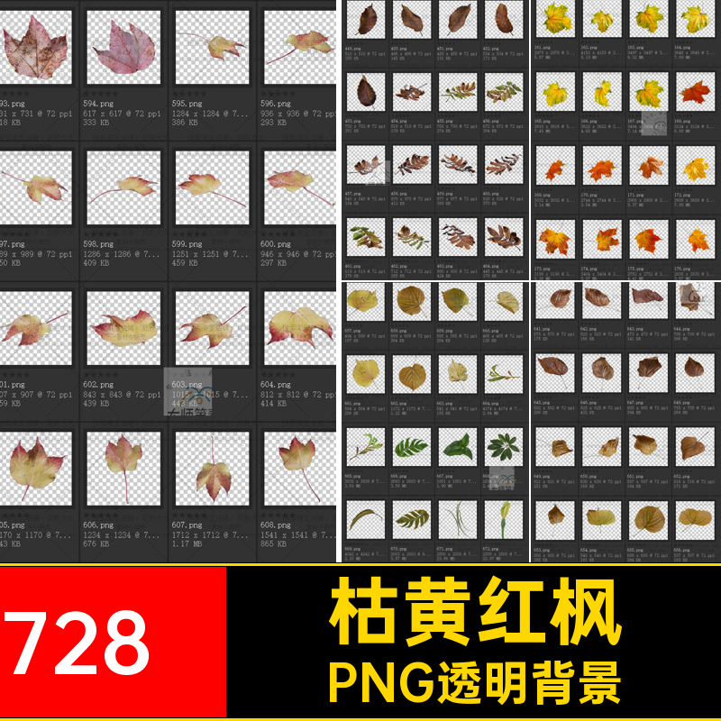 透明叶子枯黄728準髦κ饕妒饕堵湟妒饕妒饕睹饷馇锾炻桃堵桃妒饕?