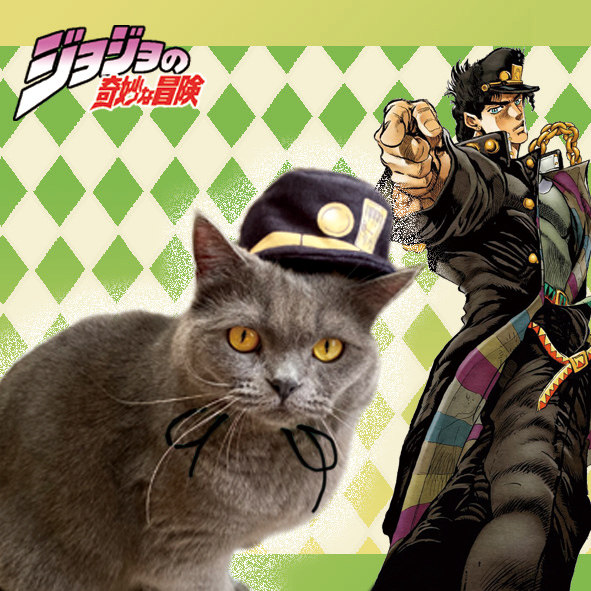 jojo奇妙冒险空条承太郎3代宠物用品猫咪帽子头套小型犬头饰装扮