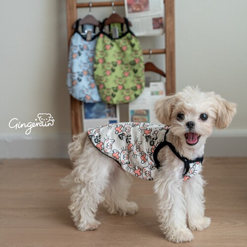 GINGERAIN 小型犬衣服马尔济斯泰迪背心纯棉舒适弹力护肚吊带