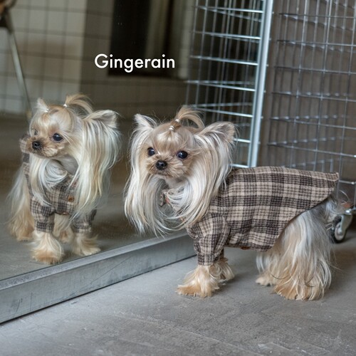 GINGERAIN 磨毛格子衬衫狗衣服约克夏马尔济斯纯棉系扣舒春秋衬衣
