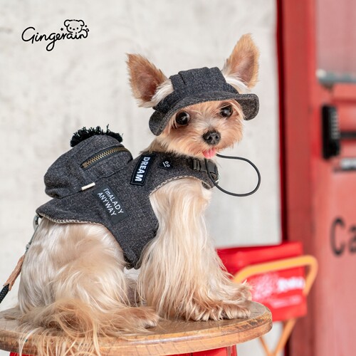 GINGERAIN 露营户外遛狗背包胸背带马尔济斯约克夏超小体犬书包