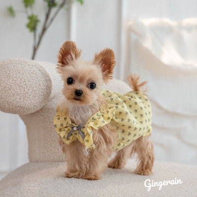 抗皱蓬蓬裙布桃子的梦想小型犬