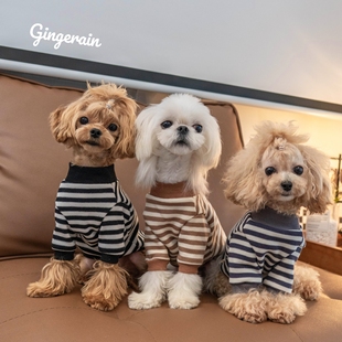GINGERAIN 小型犬马尔济斯马尔泰迪衣服纯棉条纹套头卫衣打底衫