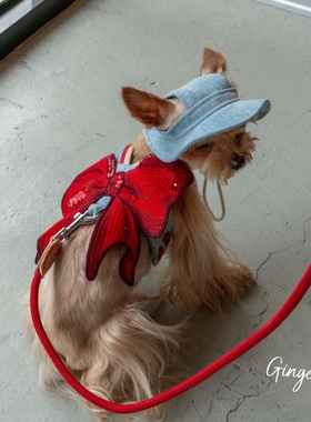 GINGERAIN 户外牛仔胸背带露营约克夏小型犬马尔济斯遛狗可牵引绳