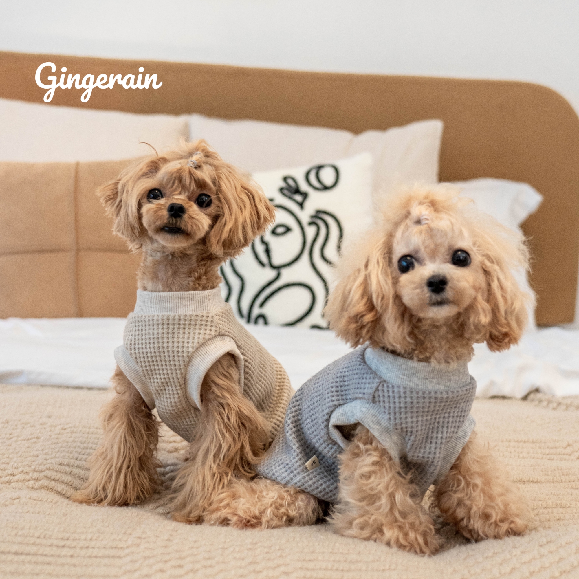 加厚华夫格背心GINGERAIN小型犬