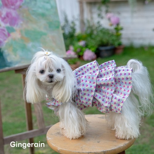 GINGERAIN 飞飞袖层层裙蛋糕裙约克夏比熊爱心格子裙连衣裙