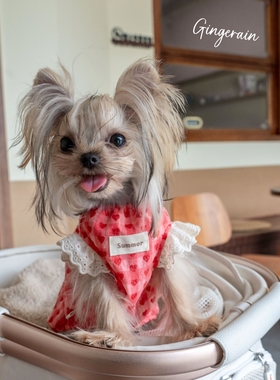 GINGERAIN 爱心娃娃衫小型犬马尔济斯约克夏衣服宽松轻薄透气背心