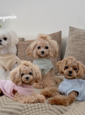 GINGERAIN 小型犬衣服泰迪马尔济斯婴儿抗过敏基础款素色保暖背心