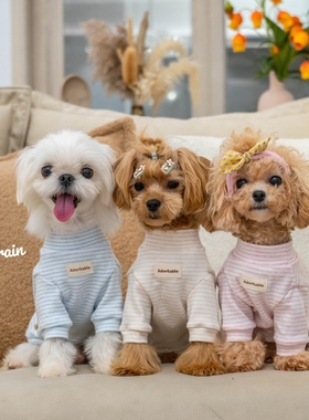 GINGERAIN 小型犬卫衣打底衫有机棉纯棉条纹四色保暖内衣抗过敏